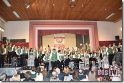 Cäcilienkonzert Perg 2015 (88)