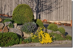 Frühling (16)