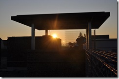 Friedhof 12112011 (11)