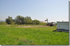 Friedhof 23082011 (2)