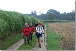 Pöstlingberg (3)