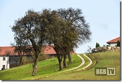Rundweg Neustadtl (68)