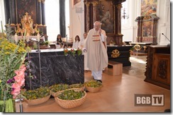 Kirchweihfest 2014 (14)