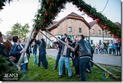 Maibaum 2015 (35)