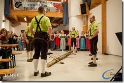 Maibaum 2015 (66)