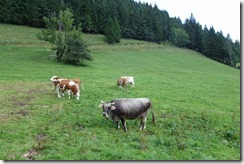Mariazell (60)