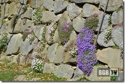 Pilgerwanderung (134)
