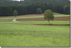 Pilgerwanderung nach Zwettl (17)