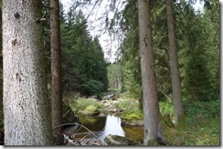 Pilgerwanderung nach Zwettl (26)