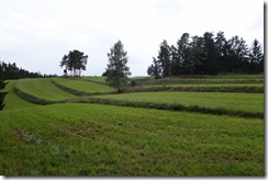 Pilgerwanderung nach Zwettl (28)