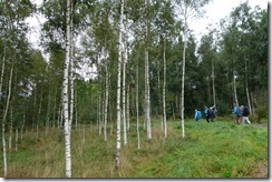 Pilgerwanderung nach Zwettl (43)