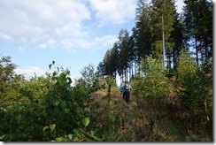 Pilgerwanderung nach Zwettl (4)