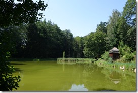 Tag 3 Nöbauer (7)