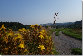 Tag 4 Nöbauer (4)
