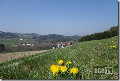 DSC00403