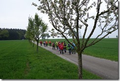 Zeillern (12)