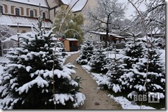 Einstimmung in den Advent 2022 (125)