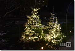 Einstimmung in den Advent 2022 (160)