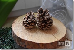 kfb Advent (32)