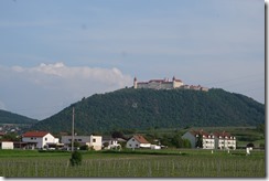 Nöbauer (126)