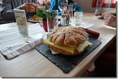 Nöbauer (17)