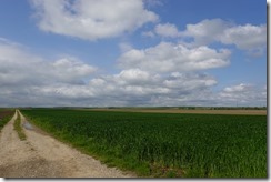 Nöbauer (46)