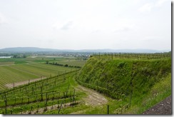 Nöbauer (78)