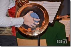 Vereinskonzert 2013 (2)