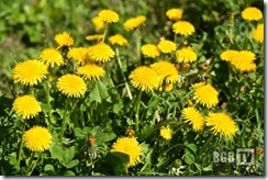 Frühling 2024 (37)
